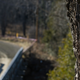 Illustration for article titled CRC 2015 Rally of the Tall Pines Photodump